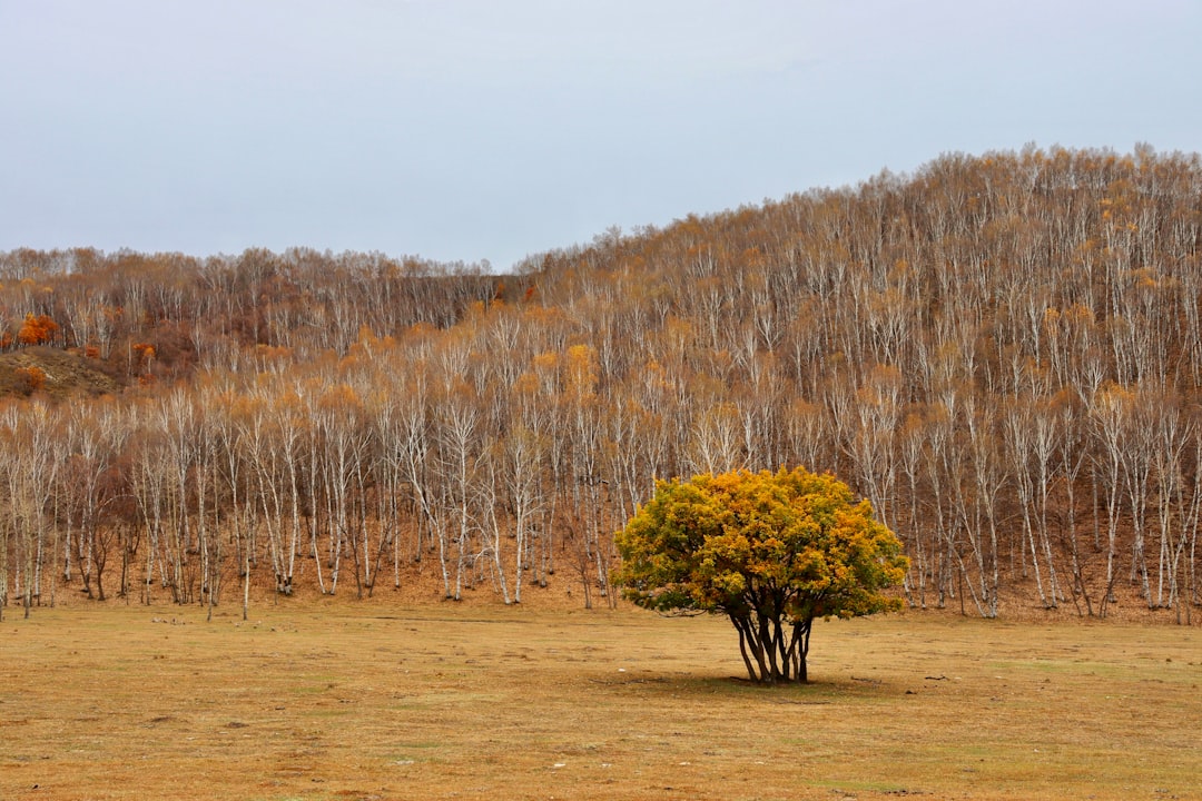Embracing Nature’s Transformative Power Through Meaningful Outdoor Travel Embracing Nature’s Transformative Power Through Meaningful Outdoor Travel
